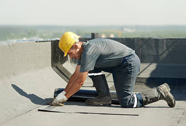 Best Residential Insulation in Soldotna, AK